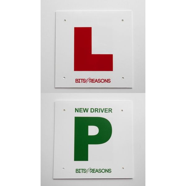 BITS4REASONS L&P PLATE - REVERSIBLE SINGLE PLATE W/HOLES