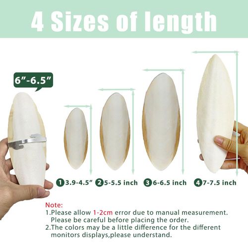 Mivofun Natural Cuttlebone for Birds Parakeets Canaries Cockatiels Small Conures Mynahs Toucans African Greys All Parrots Snails Totoise, with Holder for Bird Cage (3.9-4.5",2PCS)
