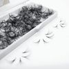 9D Curl D Lashes, 1000 Pre-made Volume Fans (9D 005 Curl D, 10mm)