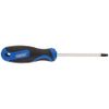 T27 x 100tx-tamperproof S/d-pkd