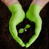 MERCATOR® gogrip, Size:M - 50 pieces, Colour:GoGrip Green