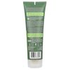 Shampoo, Volumizing, Green Apple & Ginger, 8 fl oz (237 ml)