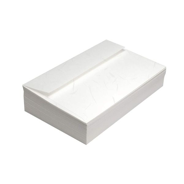 Nagatoya Shoten Washi Paper (Nagomigami) Value Envelopes