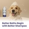 Spa Collection Liquid Shampoo Driftwood & Amber