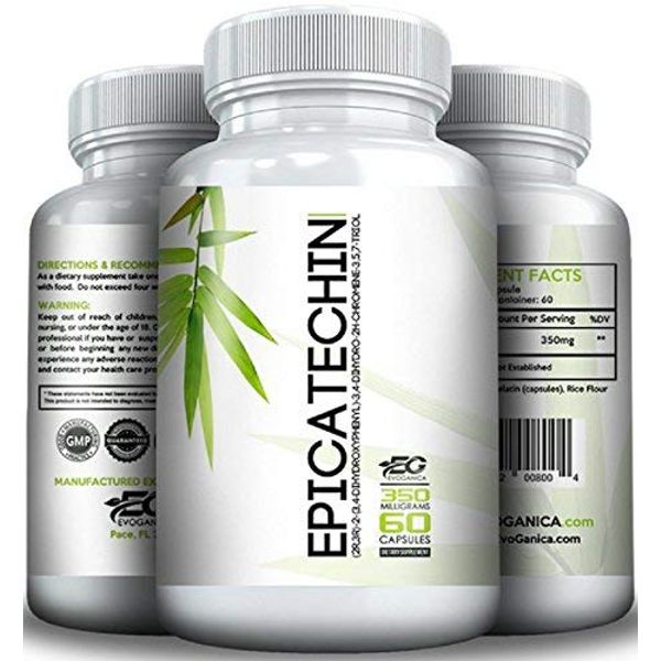 EPICATECHIN - 350 Per Serving - 60 Servings - 1 Capsule is 1 Serving - Helps Promote Lean Muscle and Strength - Safe For Men and Women -Helps Reduce Myostatin - by EVOGANICA