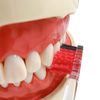 Ebisu Pro Grip Toothbrush Type II Soft