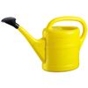 Plastic Watering Can 10 Litre