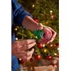 Miracle-Gro for Christmas Trees