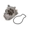 Evergreen TBK184WPT2 Compatible With 90-95 Acura Integra GS LS RS Non-Vtec 1.8L B18A1 B18B1 Timing Belt Kit and Water Pump