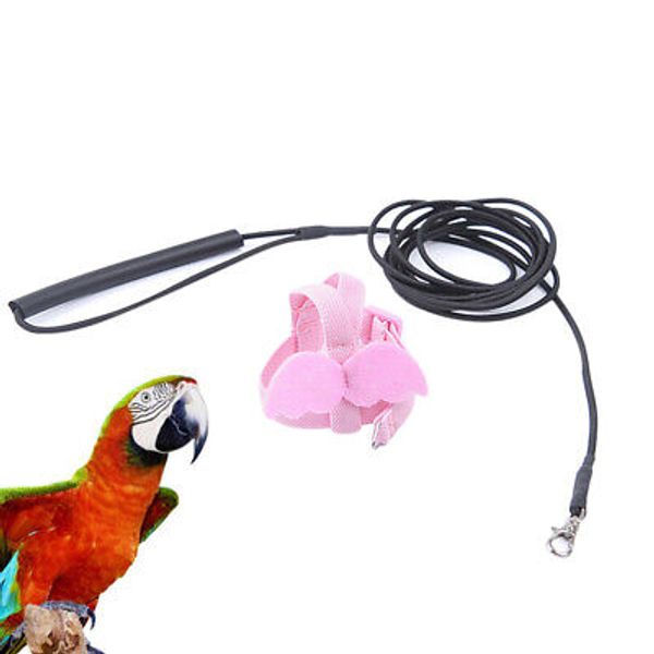 Parrot Perch Large Bird Perch Bird Harness Budgie Harness Parrot Rope Perch