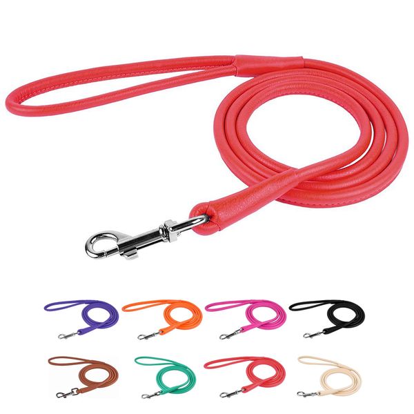 CollarDirect Rolled Leather Dog Leash 4ft, Soft Padded Training Leather Dog Lead 6ft, Puppy Leash Rolled Leather Small Medium Large Black Blue Red Orange Green Pink White (Red, Size S 6ft)