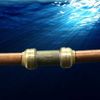 SharkBite U004LFA Push-Fit Straight Coupling, 1/4", BRASS