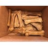 BIO311;  15 Pieces 6-1/2" Pressed Rawhide Bone