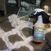 InVade Bio Cleaner with Sprayer 32 fl oz by Rockwell Labs