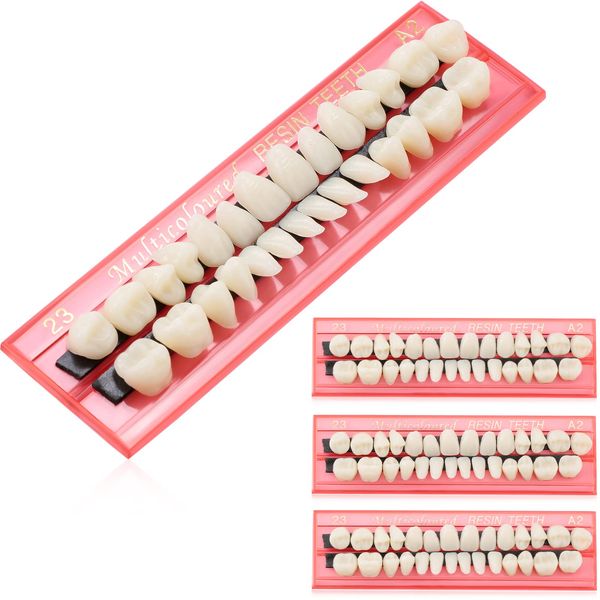 4 Sets Acrylic Resin Fake Teeth Dental Denture False Teeth Teeth Upper and Lower Synthetic Resin Teeth for Replacement, 112 Pieces, 23 A2