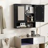 2 Door Wall-Mounted Bathroom Mirror Cabinet, Open Storage Shelf Adjustable Shelf