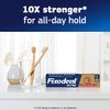 Fixodent Ultra Max Hold Dental Adhesive, 2.2 oz