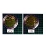 Copper! Small, 1.0 fl oz (30 ml), Trial Use