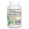 Vegan Mastic Gum, 1,000 mg, 120 Veggie Capsules