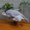 Fluffies Plush S Dolphin GY