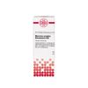 DHU Mercurius solubilis Hahnemanni C30 Dilution, 20 ml Lösung