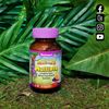 Bluebonnet Rainforest Animalz Multiple Assorted Fruit 90 Chewable Tabs