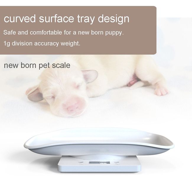 Pet Weight Scale 10kg/1g Digital Small Cats Dogs Measure Tool Electronic  Kitchen Scale for Toddler Small Puppy Cat Dog