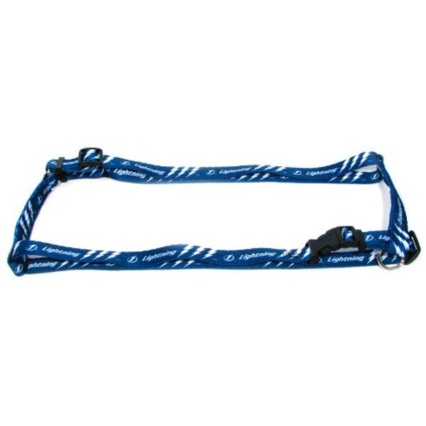 Hunter MFG 1-Inch Tampa Bay Lightning Adjustable Harness, Large