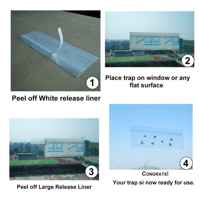 Fly Clear Window Fly Traps Bug Fly Killer Window Decal Non-Toxic