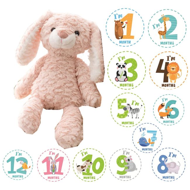 JP-SAKURA (Genuine Product) First Toy, Bear, Japanese Inspected Plush, My Baby List, Gift (Pink Rabbit)