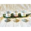 Waxelene Clarifying Mud Mask - With Vitamin C and Papaw