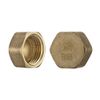 3/4" inch Thread Brass Pipe Screw Hex Female Blanking Plug Tube End Cap