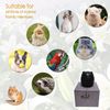 Matte Ceramic Cat Ashes Urn - Handicrafted Keepsake Memorial Gift, Black