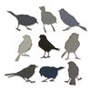 Sizzix Thinlits Die Set 9PK Silhouette Birds by Tim Holtz | 665861 |Chapter 2 2022, Multicolor, One Size
