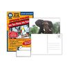 Photo Postcard 4x6 Turn Your Photos Into Post Cards (15 Pack)