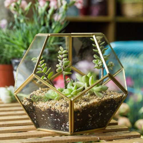 NCYP Geometric Glass Terrarium for Succulent - 17.5x17.5x15 cm Small Ball Shape Glass Display Planter Pot - Wedding Tabletop Centerpiece - Handmade Brass Decor, Gold (No Plants)