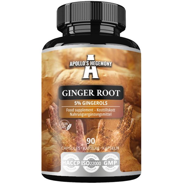 Ginger Root 500 mg, Extract Contains 5% Gingerols, 90 Capsules, 3 Months Supply, Ginger Herbal Supplements for Digestive Comfort and Immune Support - by Apollo's Hegemony