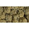 Noch 08600 Lichen Stone Grey Landscape Modelling
