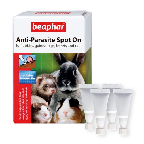 Beaphar Anti-Parasite Spot On for Rabbit and Guinea Pigs, Clear, 4 vials (Pack of 1)