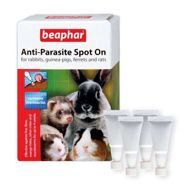 Beaphar Anti-Parasite Spot On for Rabbit and Guinea Pigs, Clear, 4 vials (Pack of 1)