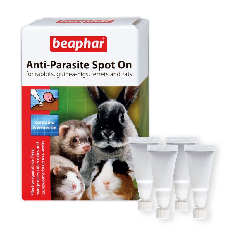 Beaphar Anti-Parasite Spot On for Rabbit and Guinea Pigs, Clear, 4 vials (Pack of 1)