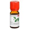 Japanese Mint Oil ProFuma Caelo HV Pack 10 ml