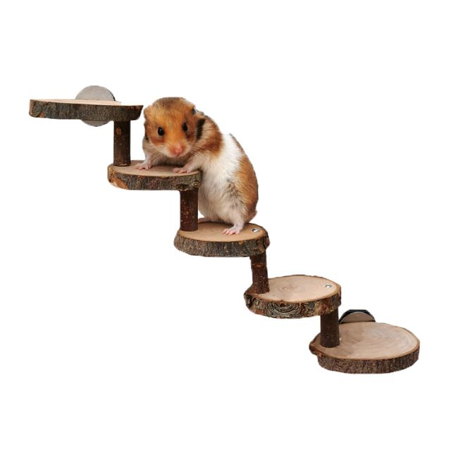 Lizaty Hamster Spielzeug aus Holz Hamster Holzleiter Hamster Kletterspielzeug 5-lagiges Leiter Treppen Plattform Brücken Sprungbrett Trainingsgerät for Hamsters, Mice, Gerbils, Squirrels, Guinea Pigs