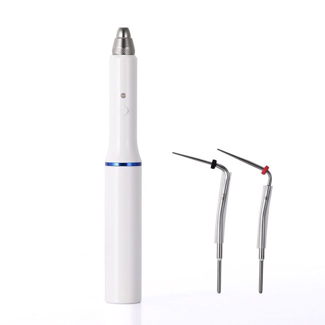 Dental Cordless Wireless Obturation System Endo Heat Pen + 2 Tips