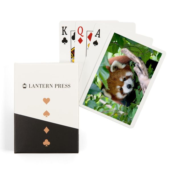 Lantern Press Red Panda (52 Playing Cards, Poker Size Card Deck with Jokers)