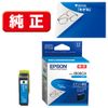 Genuine Epson IB06CA Cyan Ink Cartridge Glasses