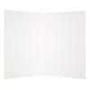 Hallmark Funny Blank Card Beard Growth - Medium