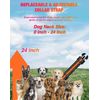Remote dog training collar NEW