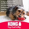 KONG Extreme Goodie Bone - Heavy Duty Rubber Bone for Strong Chewing - Black