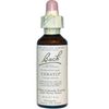 BACH CERATO, 20 ML